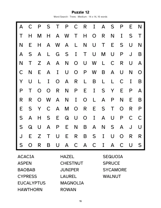 Word Search page from a US Letter book made in Gridbinder, Medium level